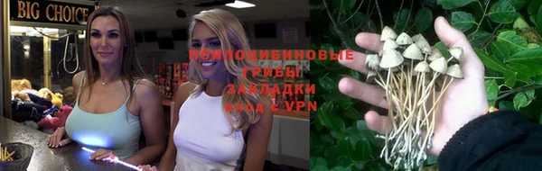 spice Новодвинск