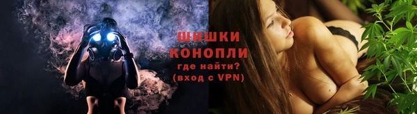 spice Новодвинск