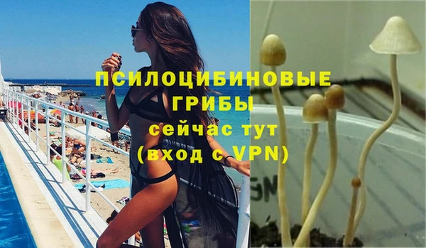 spice Новодвинск