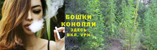 spice Новодвинск