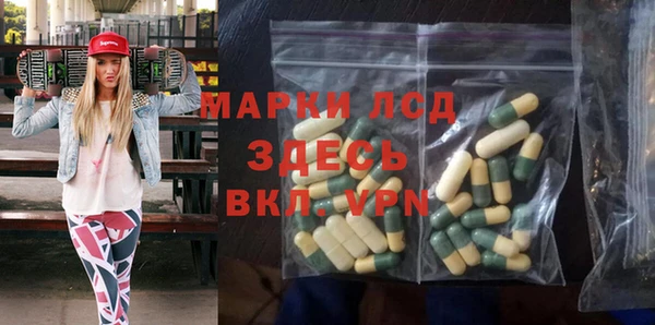 spice Новодвинск