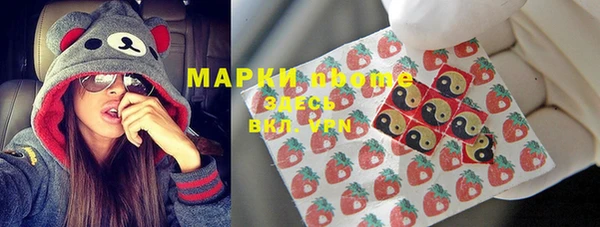 spice Новодвинск